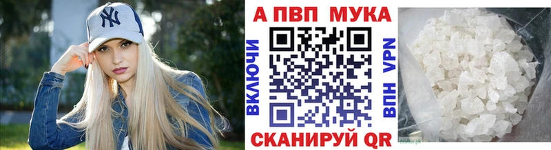 Alfa_PVP СК  Каргополь 