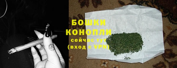 PSILOCYBIN Инта