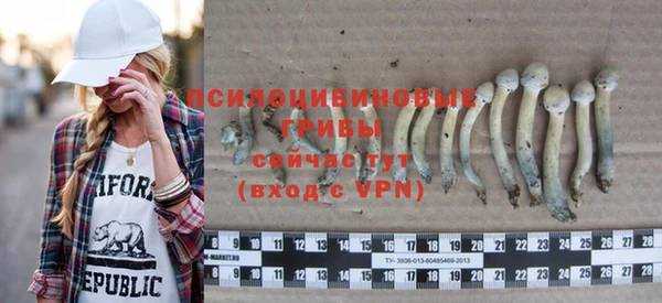 бутират Иннополис