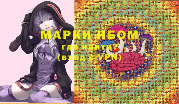 PSILOCYBIN Инта