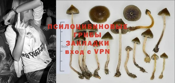 бутират Иннополис
