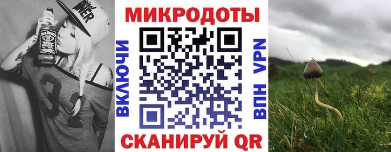 Галлюциногенные грибы мухоморы Каргополь